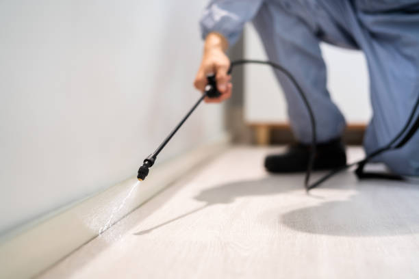 Licensed Termite Control service in D'Iberville, MS - Nex Pest Control