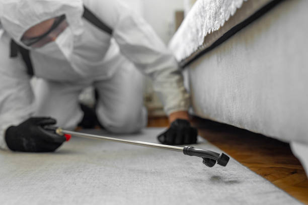 Professional Termite Control technician working in D'Iberville, MS