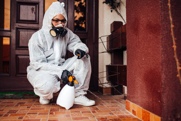 Reliable Termite Control contractor in D'Iberville, MS by Nex Pest Control