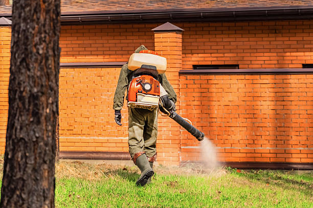 Top rated local Termite Control specialists in D'Iberville, MS